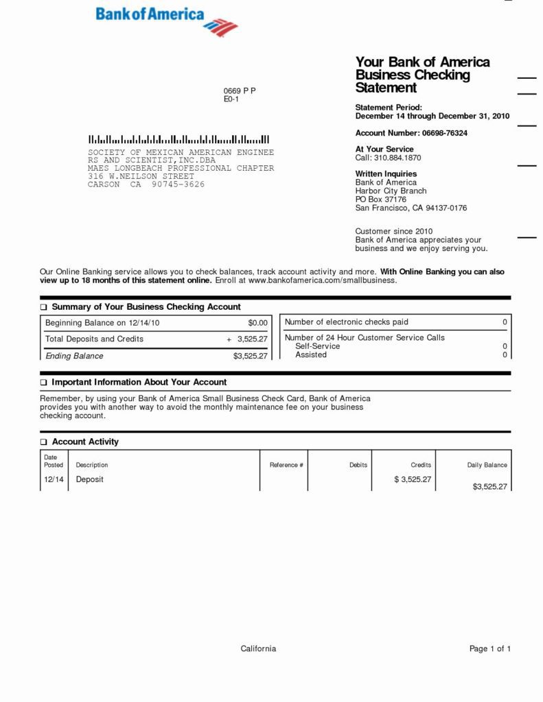 bank of america fake bank statement