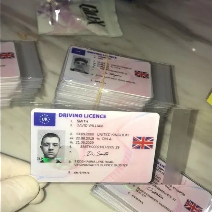 fake driving licence