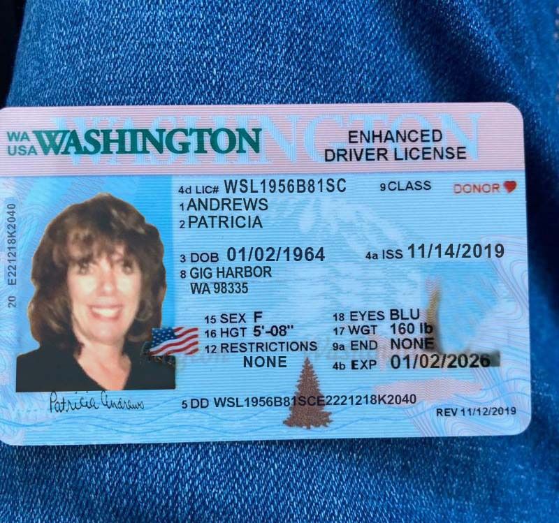 Fake Washington Driver License