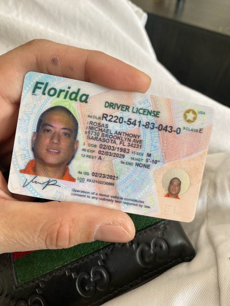 my florida drivers license check