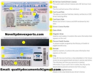 How To Get A Driver's License in Ontario And British Columbia - Novelty ...