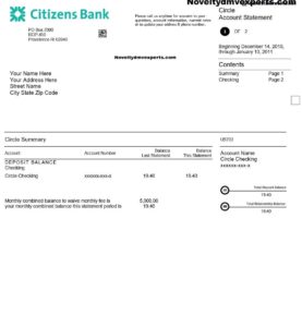 Fake Bank Statements for Loan in 2024 - Novelty Dmv Experts