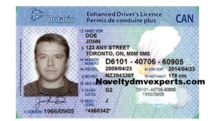 How To Get A Driver's License in Ontario And British Columbia