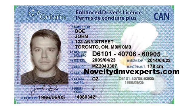 Ontario driver license