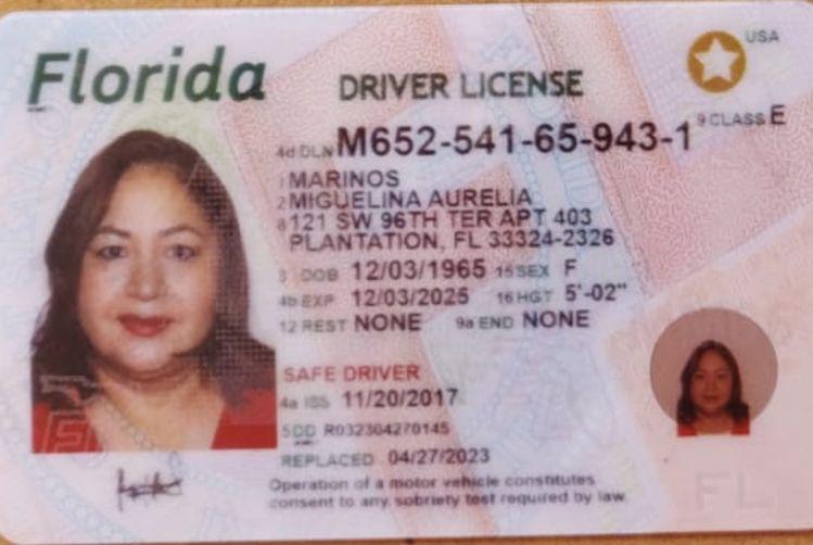 FLorida Driver's License