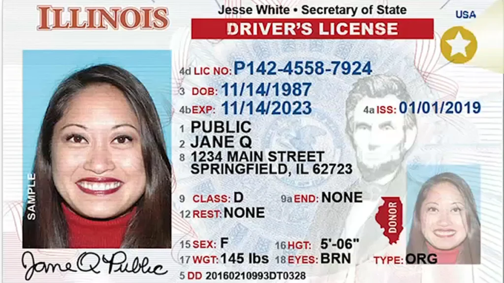 Illinios driver's license